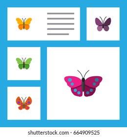 Flat Icon Monarch Set Of Violet Wing, Archippus, Milkweed And Other Vector Objects. Also Includes Butterfly, Insect, Summer Elements.