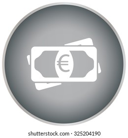 Flat icon of money (euro) vector icon
