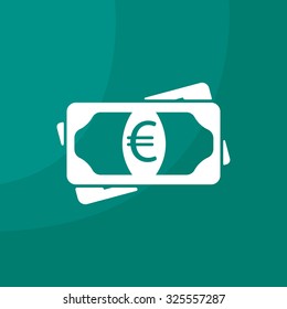 Flat icon of money (euro) vector icon