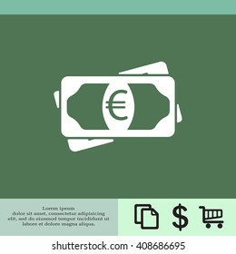 Flat icon of money (euro) vector icon