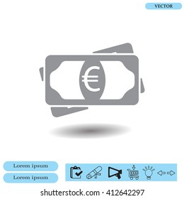 Flat icon of money (euro) vector icon