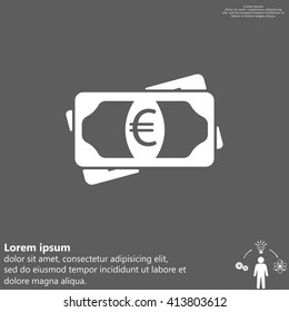 Flat icon of money (euro) vector icon