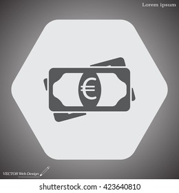 Flat icon of money (euro) vector icon
