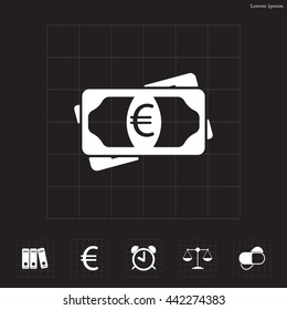 Flat icon of money (euro) vector icon