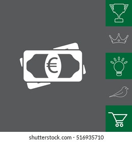 Flat icon of money (euro) vector icon