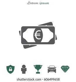 Flat icon of money (euro) vector icon