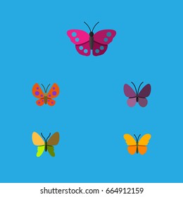 Flat Icon Moth Set Of Archippus, Violet Wing, Beauty Fly And Other Vector Objects. Also Includes Archippus, Monarch, Summer Elements.