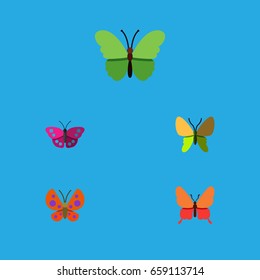 Flat Icon Moth Set Of Moth, Beauty Fly, Danaus Plexippus And Other Vector Objects. Also Includes Butterfly, Monarch, Archippus Elements.