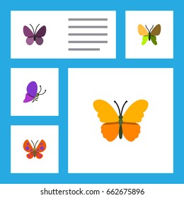 Flat Icon Moth Set Of Moth, Beauty Fly, Summer Insect And Other Vector Objects. Also Includes Insect, Moth, Summer Elements.