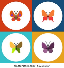 Flat Icon Moth Set Of Beauty Fly, Violet Wing, Moth And Other Vector Objects. Also Includes Moth, Summer, Butterfly Elements.