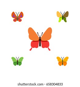 Flat Icon Moth Set Of Butterfly, Danaus Plexippus, Beauty Fly And Other Vector Objects. Also Includes Butterfly, Milkweed, Moth Elements.