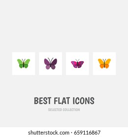 Flat Icon Moth Set Of Butterfly, Milkweed, Archippus And Other Vector Objects. Also Includes Archippus, Insect, Moth Elements.