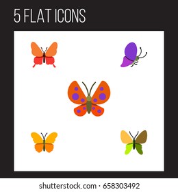 Flat Icon Moth Set Of Danaus Plexippus, Beauty Fly, Moth And Other Vector Objects. Also Includes Butterfly, Moth, Monarch Elements.