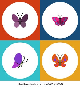 Flat Icon Moth Set Of Summer Insect, Violet Wing, Moth And Other Vector Objects. Also Includes Archippus, Moth, Butterfly Elements.