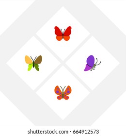 Flat Icon Moth Set Of Moth, Summer Insect, Beauty Fly And Other Vector Objects. Also Includes Butterfly, Moth, Milkweed Elements.