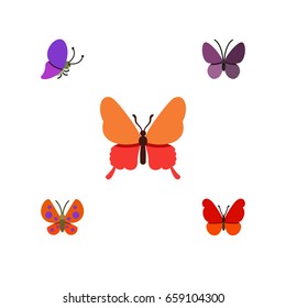 Flat Icon Moth Set Of Violet Wing, Summer Insect, Danaus Plexippus And Other Vector Objects. Also Includes Monarch, Milkweed, Insect Elements.