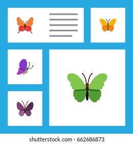 Flat Icon Moth Set Of Violet Wing, Milkweed, Summer Insect And Other Vector Objects. Also Includes Insect, Monarch, Butterfly Elements.