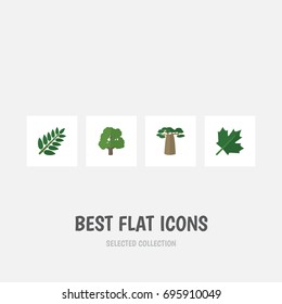 Flat Icon Natural Set Of Acacia Leaf, Baobab, Decoration Tree And Other Vector Objects. Also Includes Leaf, Maple, Acacia Elements.
