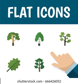 Flat Icon Natural Set Of Alder, Timber, Garden And Other Vector Objects. Also Includes Birch, Timber, Oak Elements.