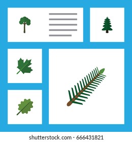 Flat Icon Natural Set Of Alder, Oaken, Evergreen And Other Vector Objects. Also Includes Maple, Oak, Spruce Elements.