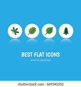 Flat Icon Natural Set Of Alder, Maple, Park And Other Vector Objects. Also Includes Leaf, Spruce, Tree Elements.