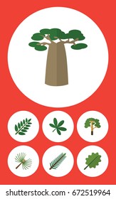 Flat Icon Natural Set Of Alder, Wood, Acacia Leaf And Other Vector Objects. Also Includes Oak, Maple, Alder Elements.