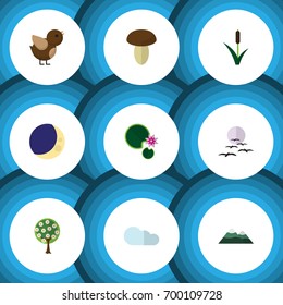 Flat Icon Natural Set Of Bird, Gull, Cattail And Other Vector Objects. Also Includes Midnight, Cloudy, Champignon Elements.