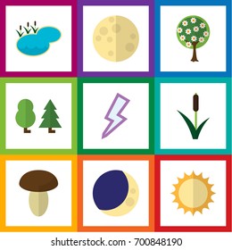 Flat Icon Natural Set Of Cattail, Tree, Pond And Other Vector Objects. Also Includes Thunder, Wood, Moon Elements.