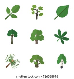 Flat Icon Natural Set Of Decoration Tree, Linden, Rosemary And Other Vector Objects. Also Includes Linden, Leaf, Leaves Elements.