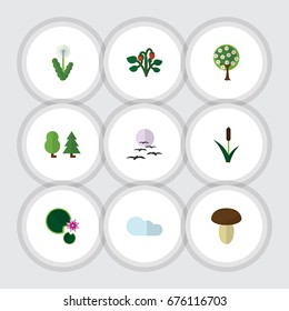 Flat Icon Natural Set Of Forest, Tree, Lotus And Other Vector Objects. Also Includes Bird, Cattail, Fruit Elements.