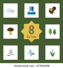 Flat Icon Natural Set Of Gull, Bird, Monarch And Other Vector Objects. Also Includes Cloud, Gull, Sparrow Elements.