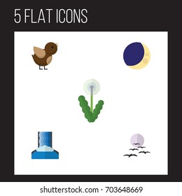 Flat Icon Natural Set Of Gull, Half Moon, Bird And Other Vector Objects. Also Includes Wing, Sparrow, Cascade Elements.