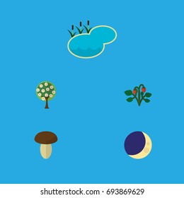 Flat Icon Natural Set Of Half Moon, Berry, Pond And Other Vector Objects. Also Includes Lake, Pond, Garden Elements.