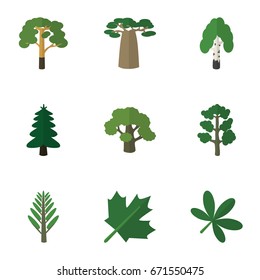 Flat Icon Natural Set Of Jungle, Park, Baobab And Other Vector Objects. Also Includes Birch, Oaken, Wood Elements.