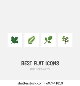 Flat Icon Natural Set Of Leaves, Foliage, Garden And Other Vector Objects. Also Includes Maple, Hickory, Evergreen Elements.