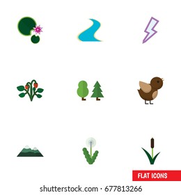 Flat Icon Natural Set Of Lightning, Forest, Berry And Other Vector Objects. Also Includes Bird, Storm, Strawberry Elements.