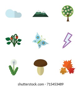 Flat Icon Natural Set Of Lightning, Peak, Floral And Other Vector Objects. Also Includes Tree, Champignon, Mushroom Elements.