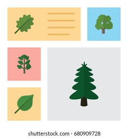 Flat Icon Natural Set Of Linden, Forest, Park And Other Vector Objects. Also Includes Tree, Spruce, Oak Elements.