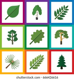 Flat Icon Natural Set Of Park, Timber, Alder And Other Vector Objects. Also Includes Park, Forest, Leaf Elements.