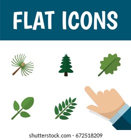 Flat Icon Natural Set Of Park, Rosemary, Acacia Leaf And Other Vector Objects. Also Includes Hickory, Park, Oak Elements.