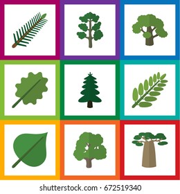 Flat Icon Natural Set Of Spruce Leaves, Decoration Tree, Park And Other Vector Objects. Also Includes Alder, Leaves, Forest Elements.