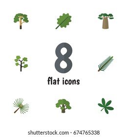 Flat Icon Natural Set Of Spruce Leaves, Alder, Rosemary And Other Vector Objects. Also Includes Timber, Forest, Evergreen Elements.