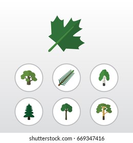 Flat Icon Natural Set Of Tree, Wood, Oaken And Other Vector Objects. Also Includes Oaken, Tree, Birch Elements.
