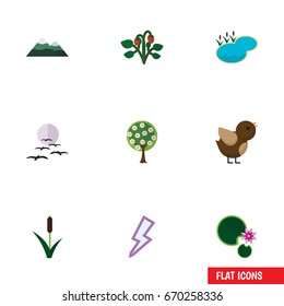 Flat Icon Natural Set Of Tree, Gull, Lightning And Other Vector Objects. Also Includes Pond, Bird, Lightning Elements.