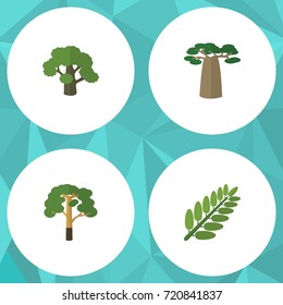 Flat Icon Natural Set Of Tree, Wood, Leaves And Other Vector Objects. Also Includes Tree, Acacia, Forest Elements.