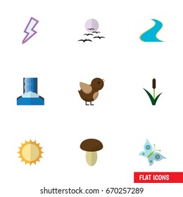 Flat Icon Natural Set Of Tributary, Bird, Monarch And Other Vector Objects. Also Includes Fungi, Gull, Reed Elements.