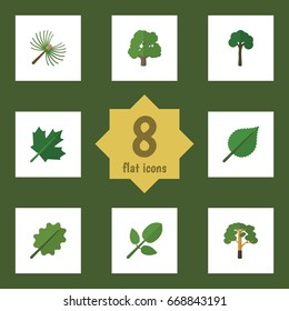 Flat Icon Natural Set Of Wood, Rosemary, Oaken And Other Vector Objects. Also Includes Timber, Linden, Foliage Elements.