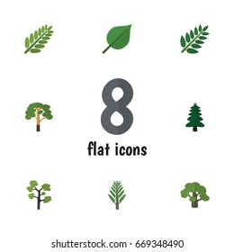 Flat Icon Natural Set Of Wood, Garden, Jungle And Other Vector Objects. Also Includes Alder, Forest, Wood Elements.