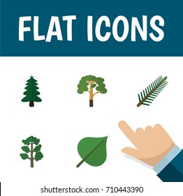 Flat Icon Natural Set Of Wood, Park, Forest And Other Vector Objects. Also Includes Spruce, Rosemary, Hickory Elements.