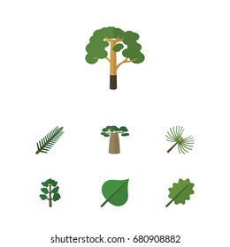 Flat Icon Nature Set Of Alder, Hickory, Wood And Other Vector Objects. Also Includes Tree, Leaves Elements.